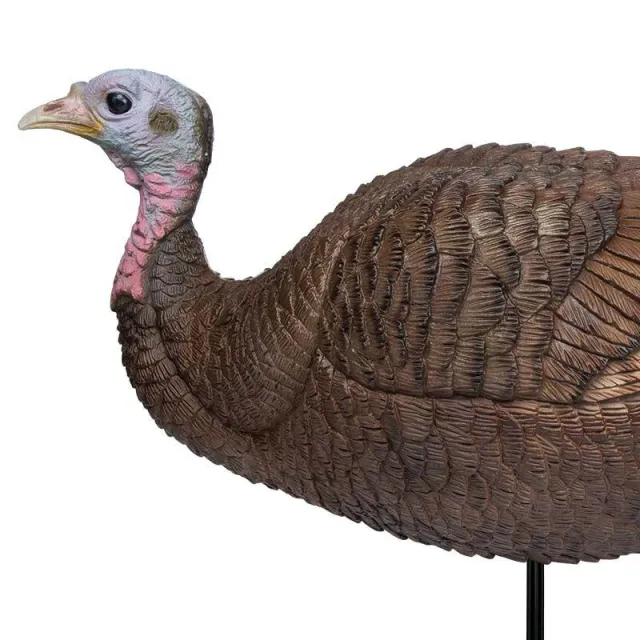 Primary Arms 69073 Lil Gobstopper Hen Turkey Decoy - View 2