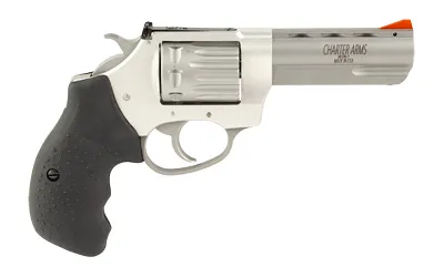 Charter Arms Pathfinder II .22 WMR - View 3