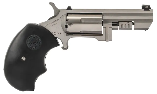 NAA Recluse 22 Magnum 2.00 In 5 rd XS Dot Stainless/Black - View 2