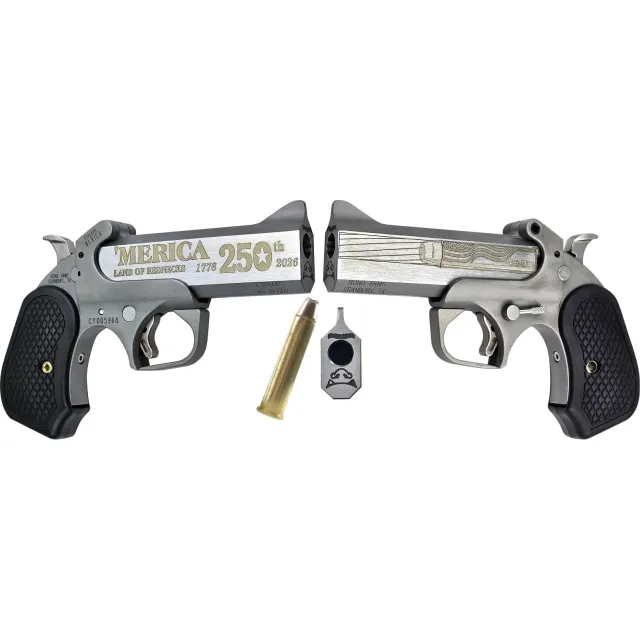 Bond Arms BACY-250TH-45-70 .45-70 GOVT 4.25 In Bead-Blasted Stainless - View 2