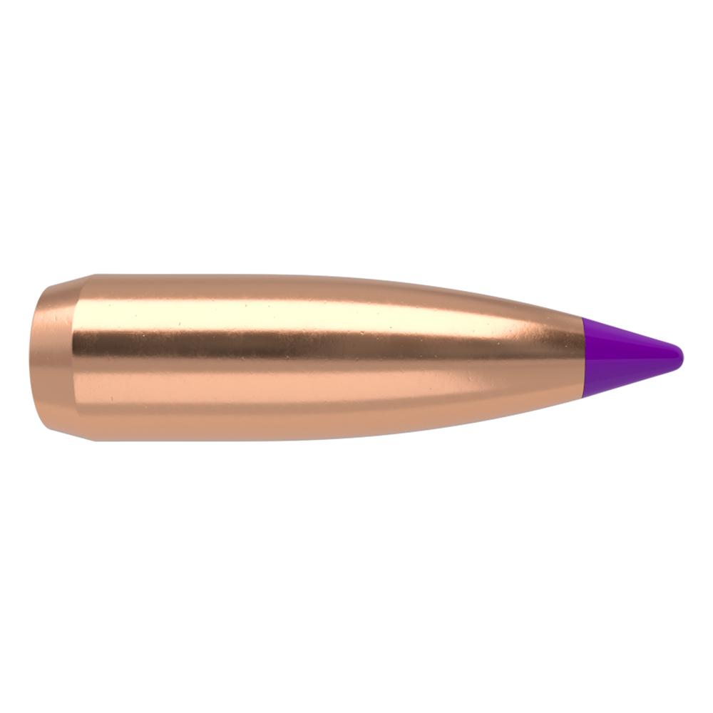 Nosler 39532 Ballistic Tip Varmint 6mm .243 70 gr Spitzer Point 100 Box - View 2