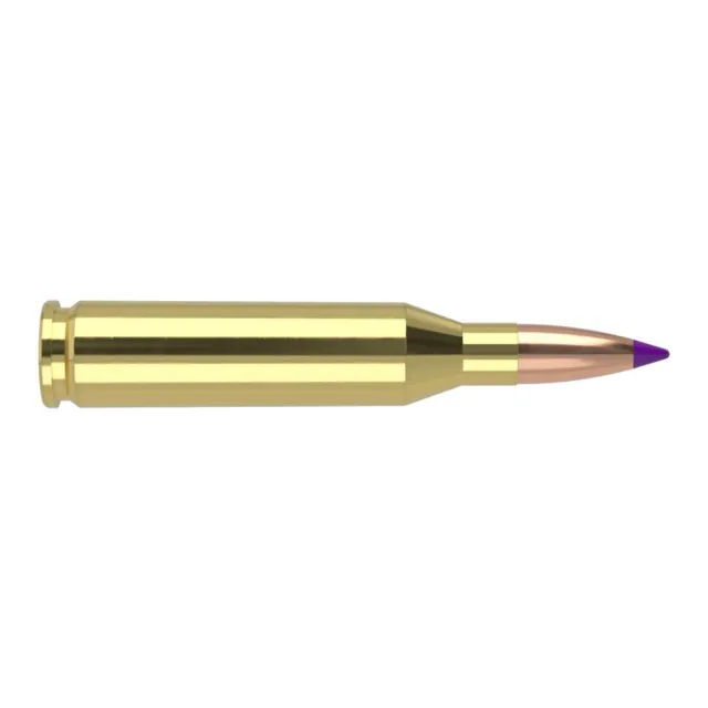 Nosler 40041 .243 Win 70gr Ballistic Tip Varmint Ammo 20 Rounds - View 2
