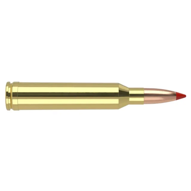Nosler 40045 Ballistic Tip Hunting 7mm Rem Mag 150 gr Spitzer Bullet 20 Rds - View 2