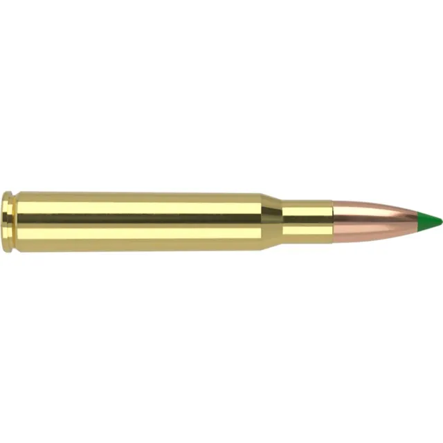 Nosler 40072 30-06 Springfield 180 Grain Ballistic Tip 20 Rounds - View 2