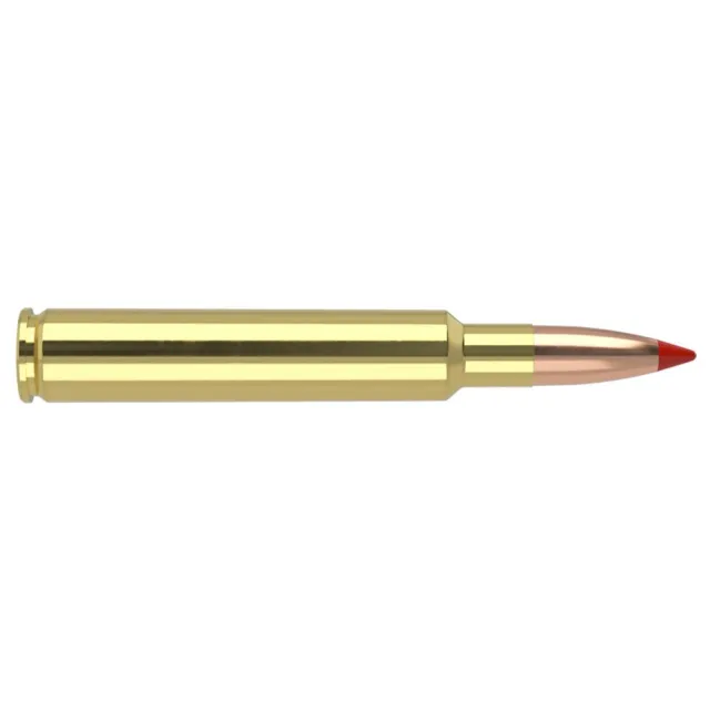Nosler 43504 Ballistic Tip 280 Ackley Improved 140 Grain 20 Rounds - View 2
