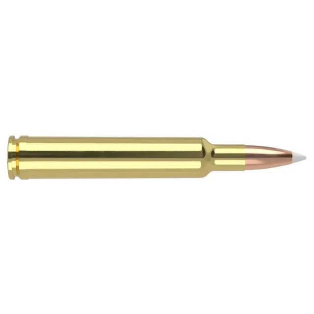 Nosler Trophy Grade 300 Wby Mag 180 Grain AccuBond 20 Rounds - View 2
