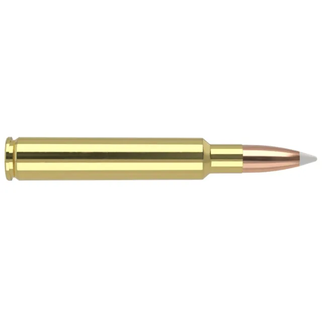 Nosler 60043 Trophy Grade 280 Ackley Improved 140 gr AccuBond 20 Rounds - View 2