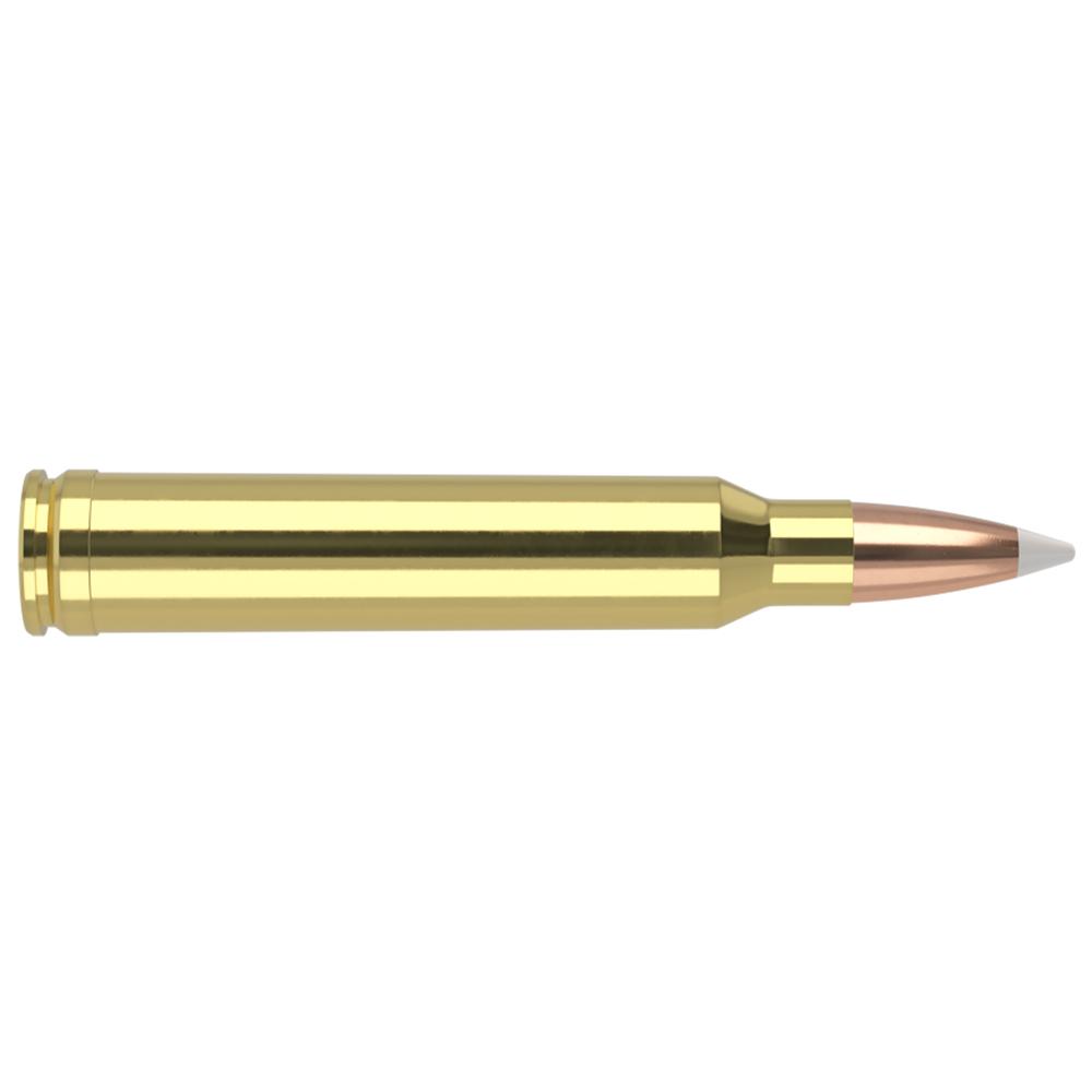 Nosler 60059 Trophy Grade Hunting 300 Win Mag 180 gr AccuBond 20 Per Box/ 10 Cs - View 2
