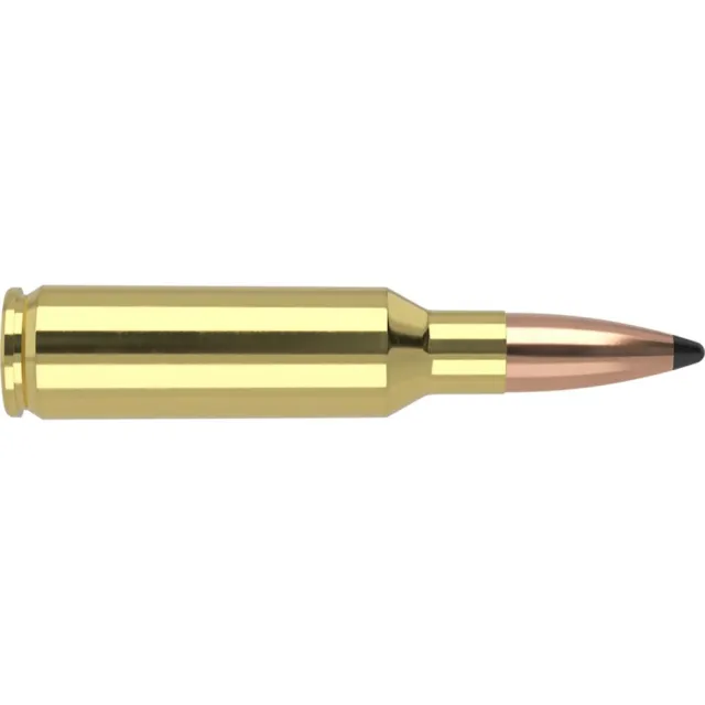 Nosler 60062 Trophy Grade 300RemSAUM 180gr Spitzer Partition 20 Per... - View 2