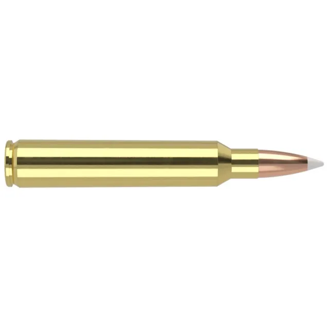 Nosler 60065 Trophy Grade Hunting 300 RUM 180 gr AccuBond 20 Per Box/ 10 Cs - View 2