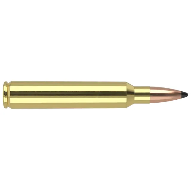 Nosler 60066 Trophy Grade 300 RUM Ammo, 180gr PT, 20 Rounds - View 2