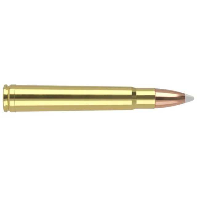 Nosler Trophy Grade Hunting 375 H&H Mag 300 gr AccuBond Ammo 20 Per Box/ 10 Cs - View 2