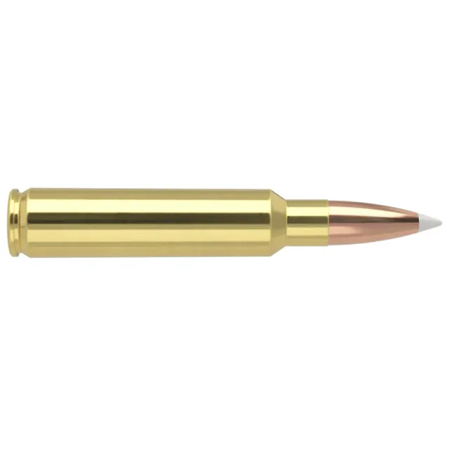 Nosler 60098 Trophy Grade Hunting 33 Nosler 225 gr AccuBond 20 Per Box - View 2