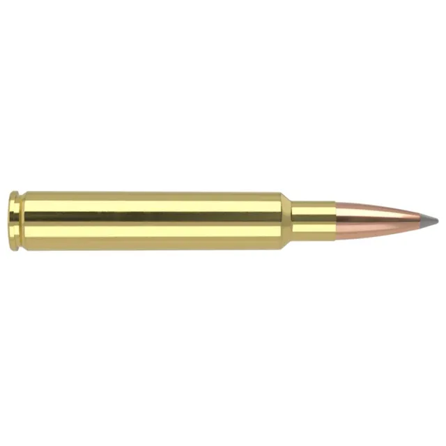 Nosler Trophy Grade Long-Range 280 Ackley Improved 150 gr 20 Rounds - View 2
