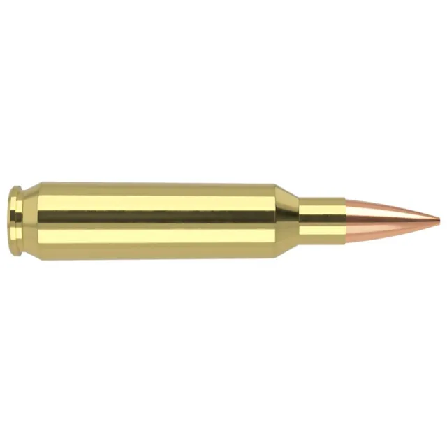 Nosler 60162 22 Nosler 85 Grain Hollow Point Boat Tail 20 Rounds - View 2