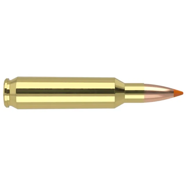 Nosler 61030 Ballistic Tip Varmint .22 Nosler 55 Grain 20 Rounds - View 2