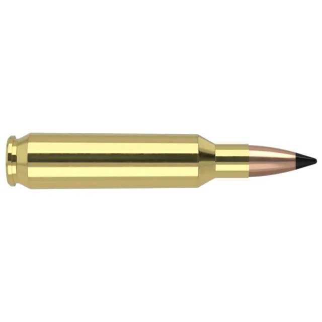 Nosler Varmageddon 22 Nosler 53 gr FB Tipped 20 Rounds Brass Ammo - View 2