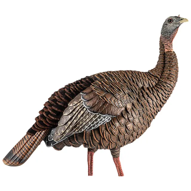 Avian-X Heavy-Duty Realism HDR Turkey Decoy Blow-Molded AVXAVX8106 - View 2