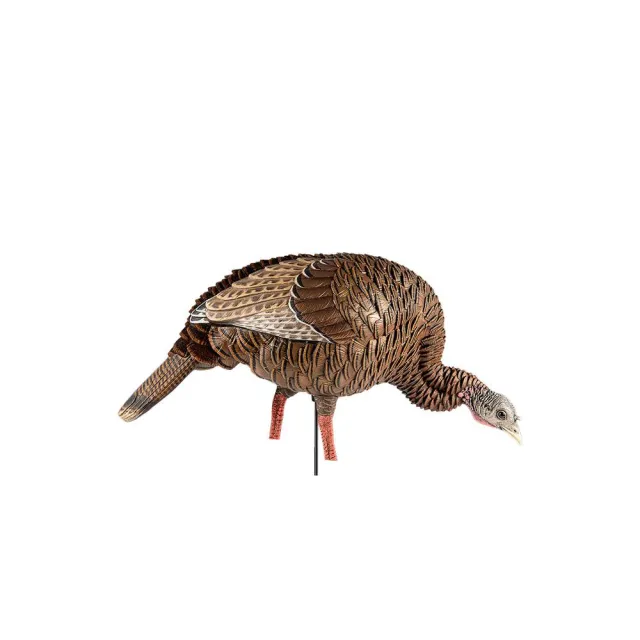 Avian-X HDR Feeder Hen Turkey Decoy Multi-Color AVXAVX8107 - View 2
