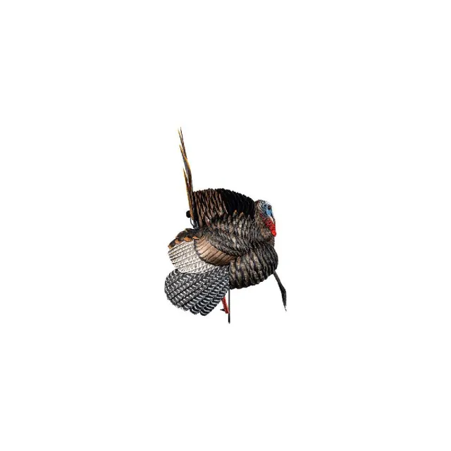Avian-X HDR Strutter Turkey Species Multi Color AVXAVX8108 - View 2