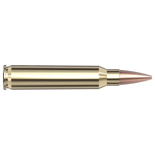Hornady 8026 Match Target 223 Rem 75 gr HPBTM 2790 ft/s 20 Per Box/ 10 Cs - View 2