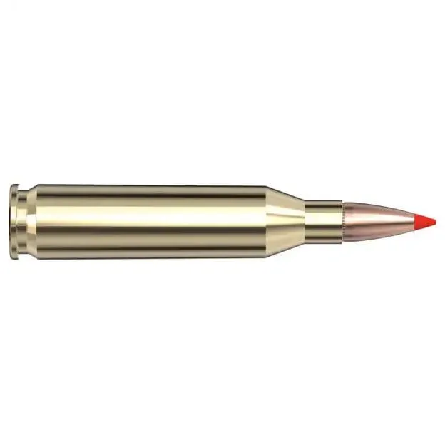 Hornady American Whitetail Tipped 243 Winchester 95 Gr SST 20 Rounds - View 2
