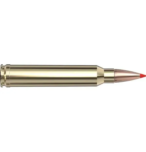 Hornady American Whitetail Tipped Rifle Ammo 300 Win. Mag. 165 gr. SST 20 - View 2