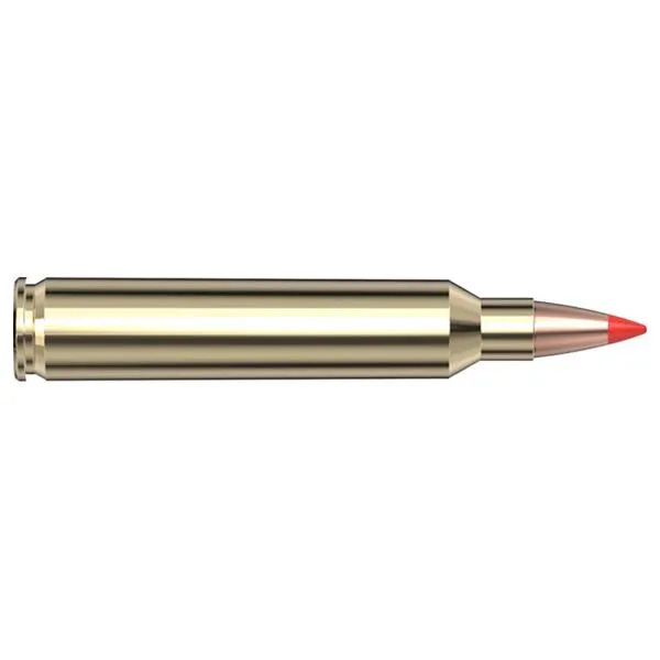 Hornady Superformance Varmint 204 Ruger 40 Grain V-Max 20 Rounds - View 2