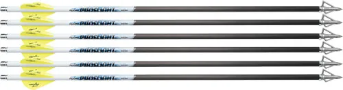 Excalibur 22EXP18-6 ProFlight Crossbow Bolts 18" Carbon Fiber 6-Pack - View 2
