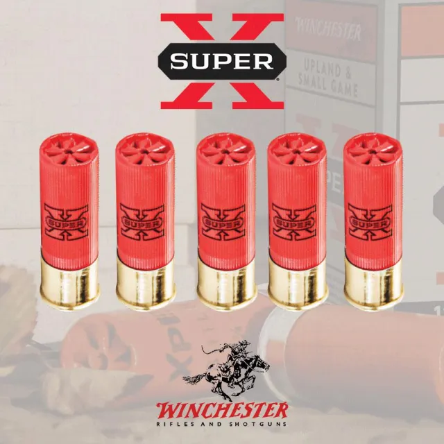 Winchester X124 12 Gauge 2.75 in 1.25 oz 4 Shot 1330 fps High Brass - View 2