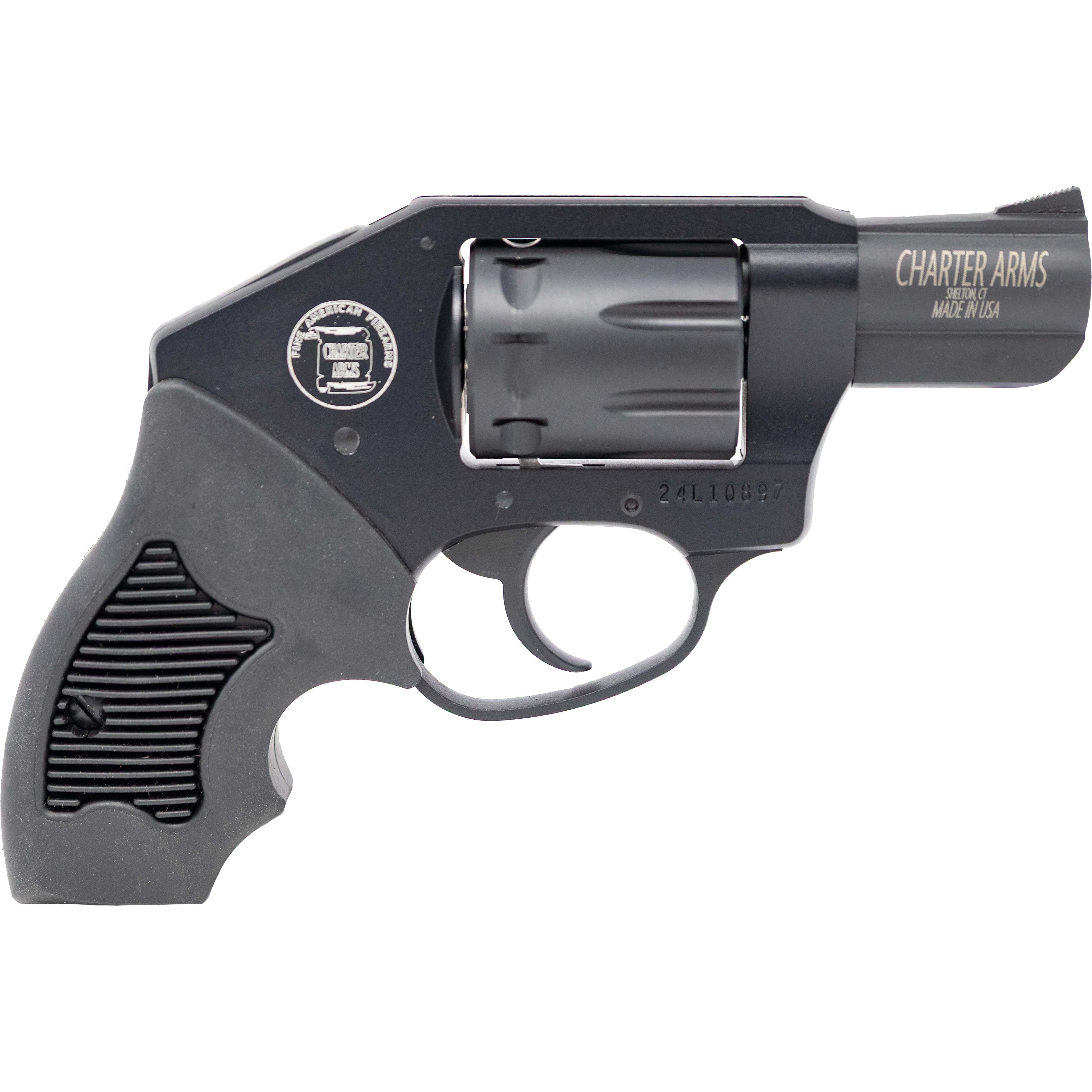 Charter Arms WALKER .22LR - View 2