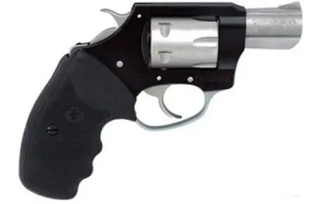 CHARTER ARMS Pathfinder Lite 22 Magnum - View 2