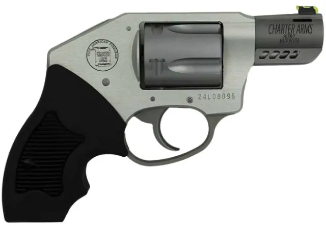 Charter Arms 53801 Off Duty Coyote 380 ACP 5rd 2" Matte Stainless... - View 2