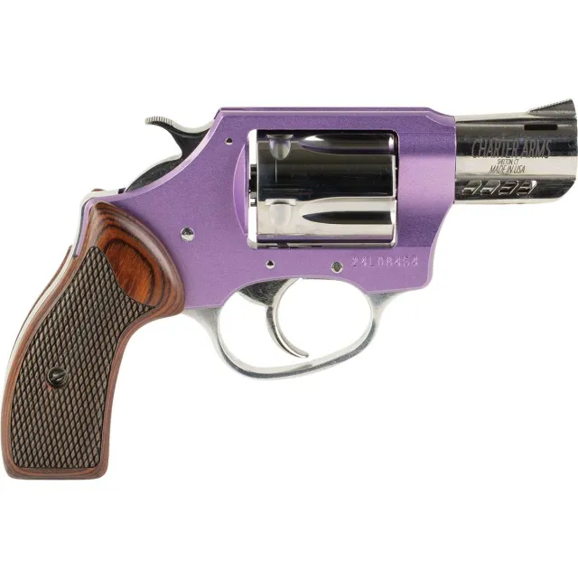 Charter Arms On Duty 380 ACP - View 2