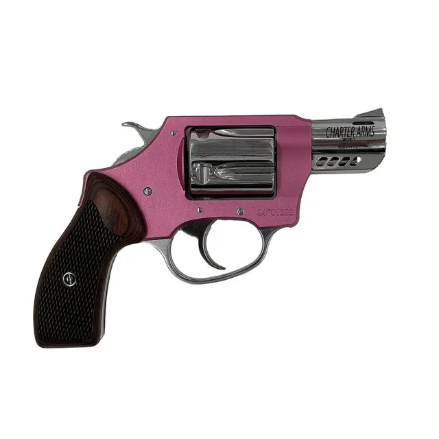 Charter Arms 53805 380 ACP - View 2