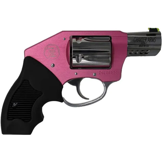 Charter Arms 53812 .380 ACP - View 2