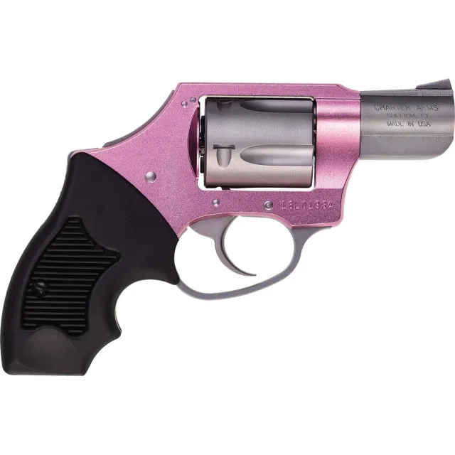 Charter Arms Pink Lady 38 Special - View 2