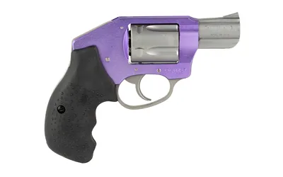 Charter Arms 53854 .38 SPL - View 3