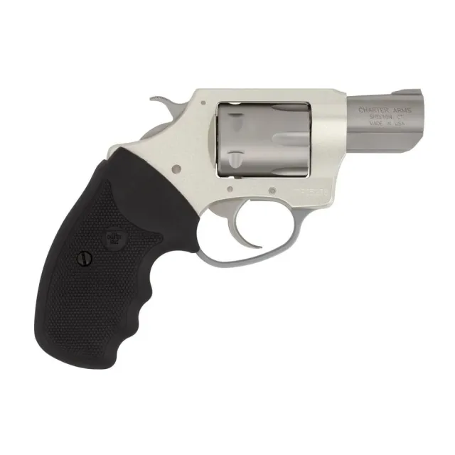 Charter Arms Pathfinder 22 Long Rifle - View 2