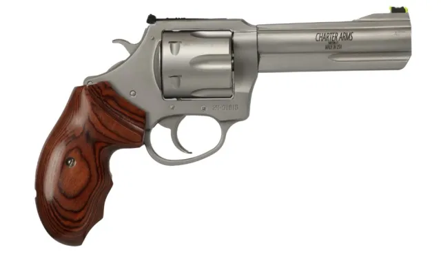 Charter Arms Professional VI .357 Magnum 4.2 in Stainless Steel 6 Shot - View 2