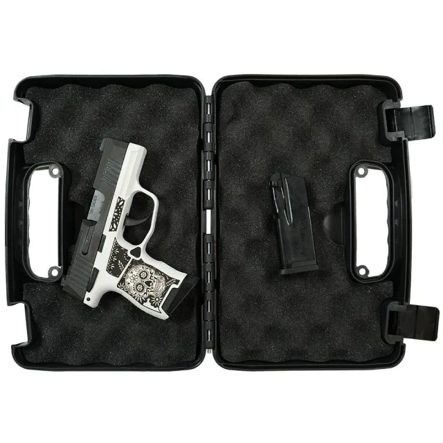 Sig Sauer P365 9mm Luger 365-9-BXR3P-MS MODSSWB - View 2