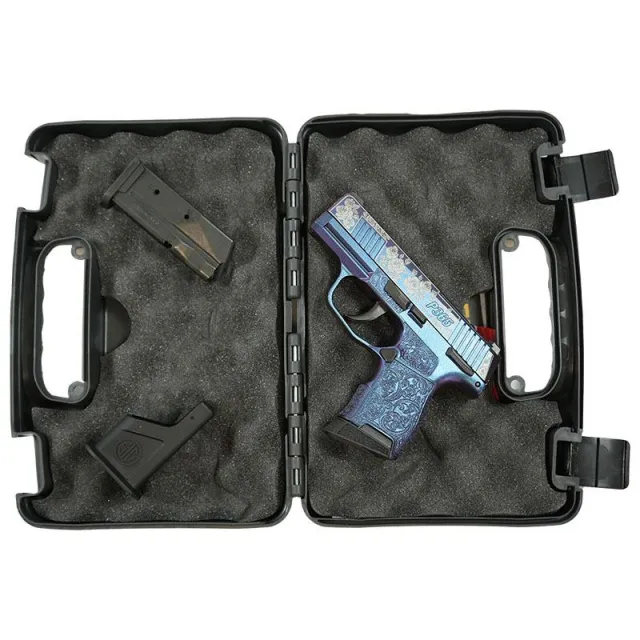 Sig Sauer 365-380-BSS-MS MODMGR .380 ACP 3.1In 10rd NightSights - View 2