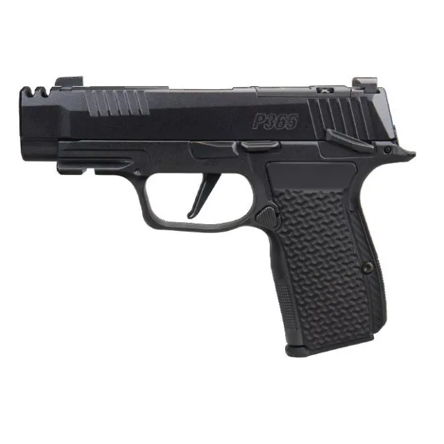Sig Sauer P365 380 ACP 365AXG-380-COMP-LUXE-MS - View 2