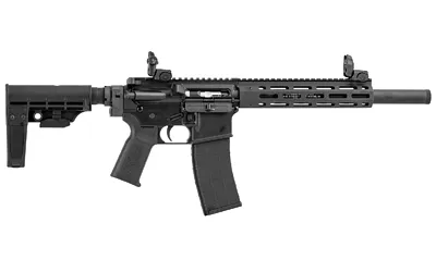 Tippmann Arms Company M4-22 ELITE .22 LR - View 2