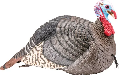 Hunters Specialties Strut-Lite Jake Decoy 100003 Multi-Color Synthetic - View 2