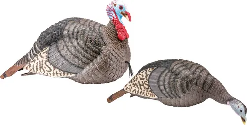 HS Strut Strut-Lite Jake & Hen Turkey Decoy Combo - View 2