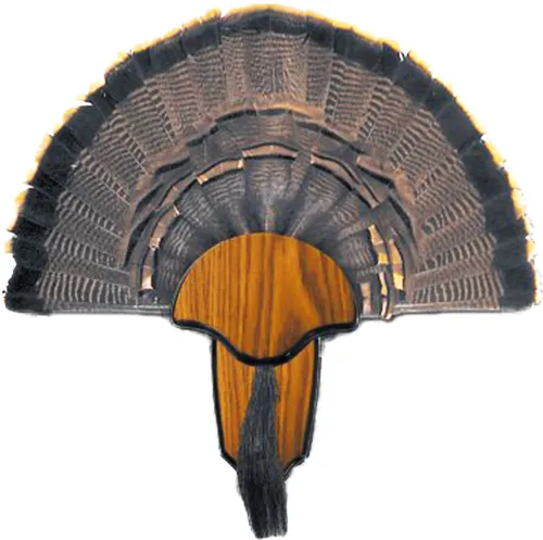 HS Precision Turkey Tail and Beard Mounting Kit Wood HS-00849 - View 2