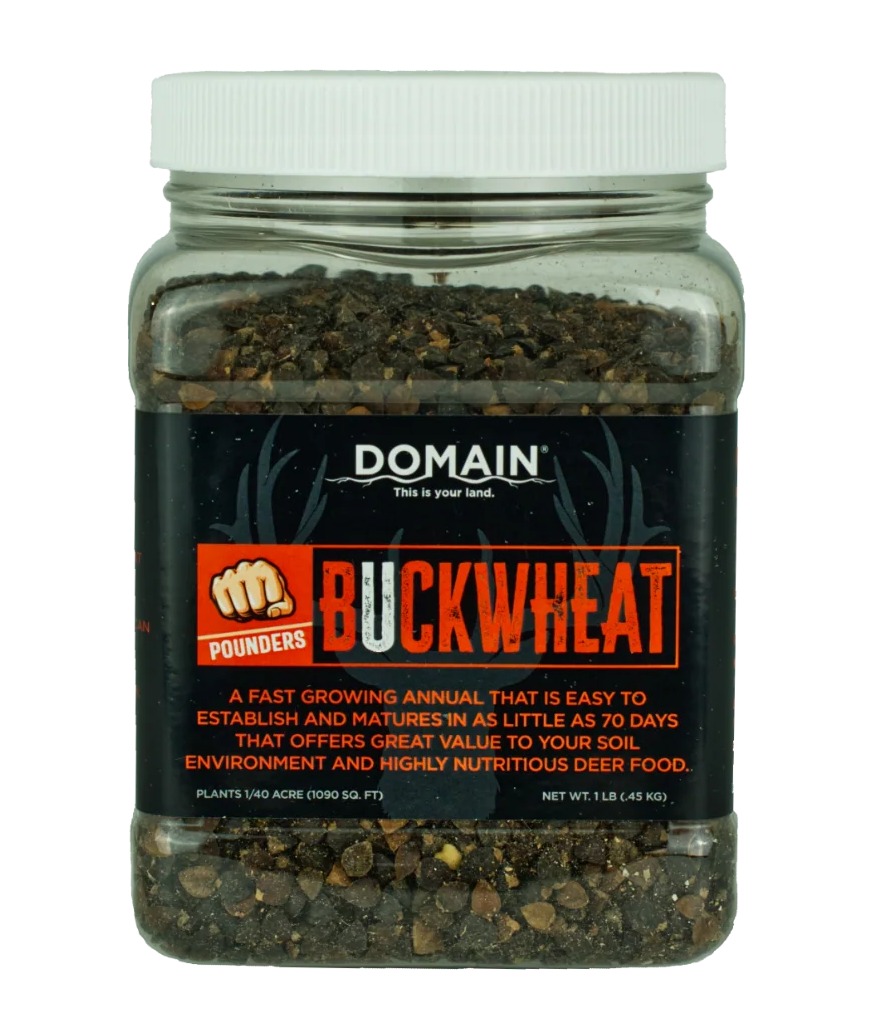 DOMAIN POUNDER DBWS1LB Buckwheat - DOMAIN