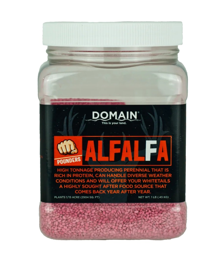 DOMAIN DALS1LB POUNDER Alfalfa 1 lb Forage Seed Pasture Pack - DOMAIN