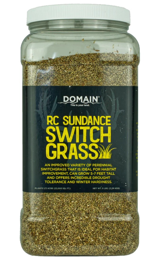 DOMAIN RC-SDSG-5 RC SUNDANCE SWITCHGRASS - DOMAIN